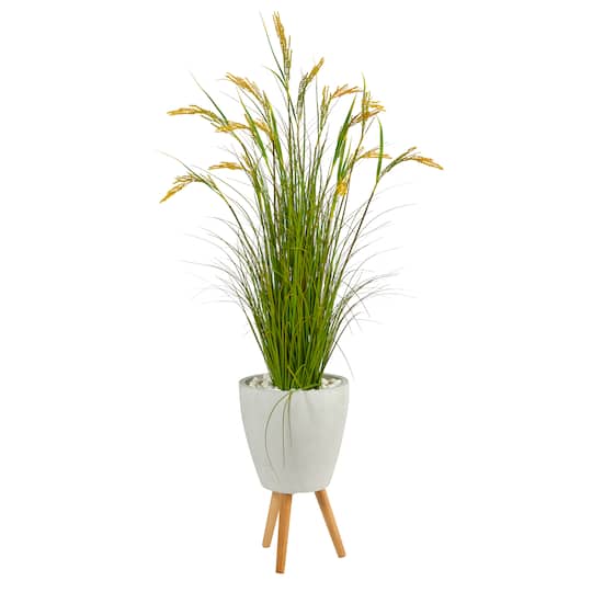 5ft. Wheat Grain Plant in Decorative White Planter